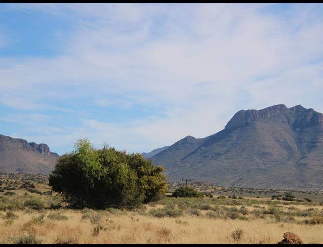 31HA FARM FOR SALE IN MIDDELBURG RURAL